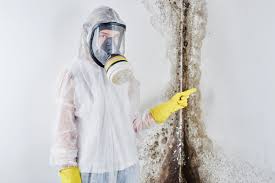 Best Black Mold Removal  in Long Beach, WA